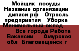 Мойщик  посуды › Название организации ­ диписи.рф › Отрасль предприятия ­ Уборка › Минимальный оклад ­ 20 000 - Все города Работа » Вакансии   . Амурская обл.,Благовещенск г.